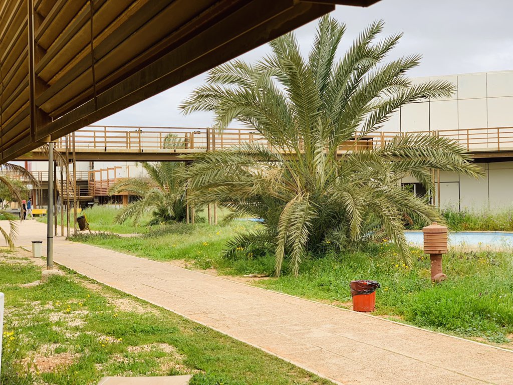 nodelies's tweet photo. بما أنه عجبتكم كُليتي.. المره هذي صورتلكم بضمير شويه 
#كلية_الهندسة #جامعة_بنغازي ❤️ https://t.co/iXGz3ldGHr