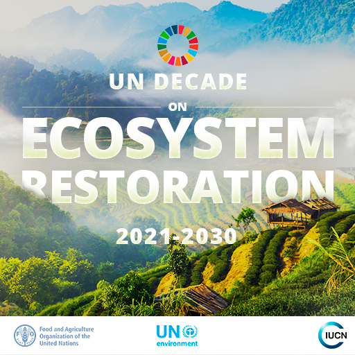 OneBigRobot's tweet photo. The UN just declared 2021-2030 the Decade on Ecosystem Restoration. And we've had the honour to design the social media cards for @IUCN @UNEnvironment
#IUCN #UN #UNDecade #design https://t.co/7YZD6ZknTf
