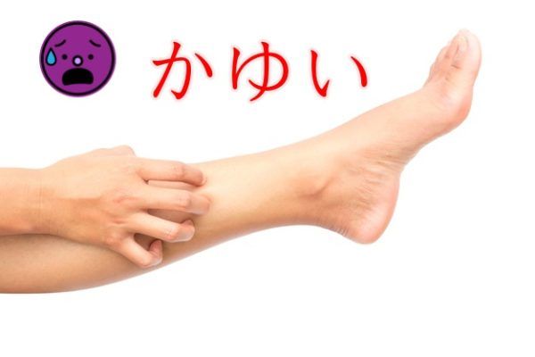 behappylabo's tweet photo. 目立つポツポツ毛穴。顔のポツポツ毛穴とムダ毛処理後のポツポツ毛穴。どっちもイヤな毛穴のトラブル。https://t.co/teGboKN2U5　＃ポツポツ毛穴　＃ポツポツ毛穴黒ずみ　＃ポツポツ毛穴赤み　＃ポツポツ毛穴かゆい　＃ポツポツ毛穴炎症　＃ポツポツ毛穴赤い https://t.co/oJwH6CIDEm
