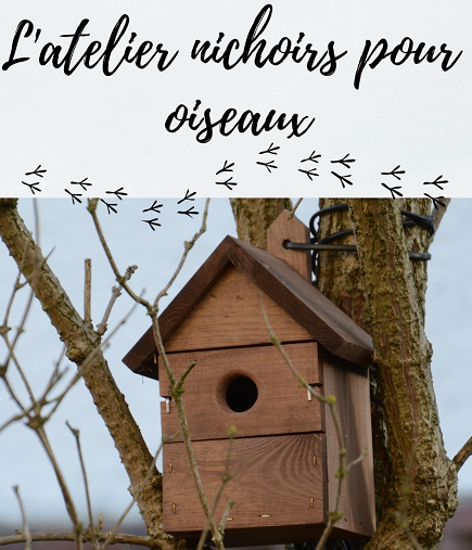 UnivLyon1's tweet photo. Atelier nichoir 🐦
_ par l'asso étudiante AVANZA 

📆 13 Mars
⌚ 15h30 à 17h30
📍 au Toï Toï (https://t.co/FmpPC5Tqbg)

🛠️🌳 Les nichoirs fabriqués durant l'atelier seront ensuite installés à la Doua, pour favoriser la présence des oiseaux dans les parcs du campus ! https://t.co/Z0rbvixi7A