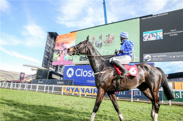ADI_LED's tweet photo. Day One of the Cheltenham Festival! From giant mobile screens to digital advertising ribbon and high res displays in VIP hospitality, it's all come together for four fabulous days of jump racing #bigscreens #livesport #horseracing #LED #CheltehamFestival https://t.co/3ahk54w9le