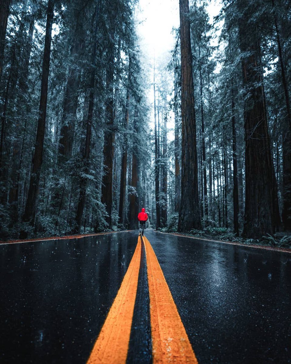 TRVLCreative's tweet photo. Stunning https://t.co/PjGZ562WjK