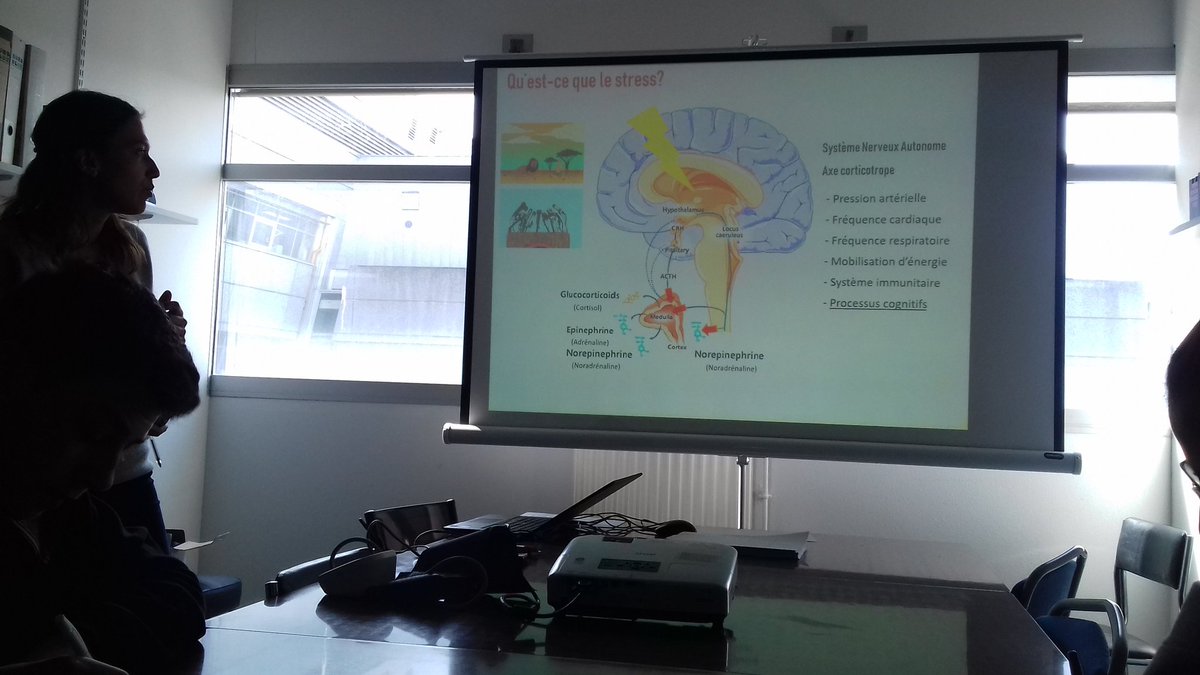 LyceeGFebus's tweet photo. Atelier : "L'influence du stress sur les capacités cognitives". I.Delgado https://t.co/PfFYh8OASd