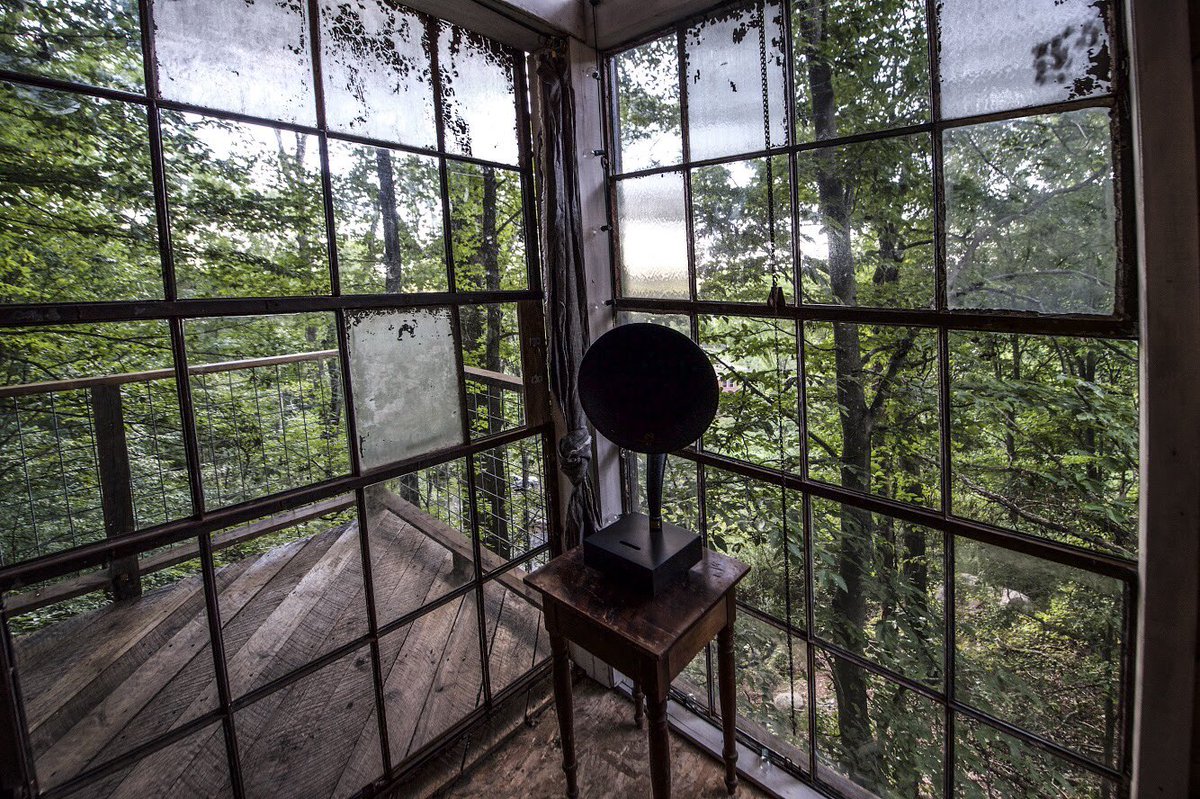 Treetop Hideaways tweet media