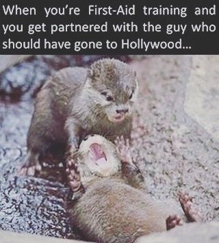 firstaidadvice's tweet photo. 😂😂

#firstaidtraining https://t.co/IqQsjsQoF2