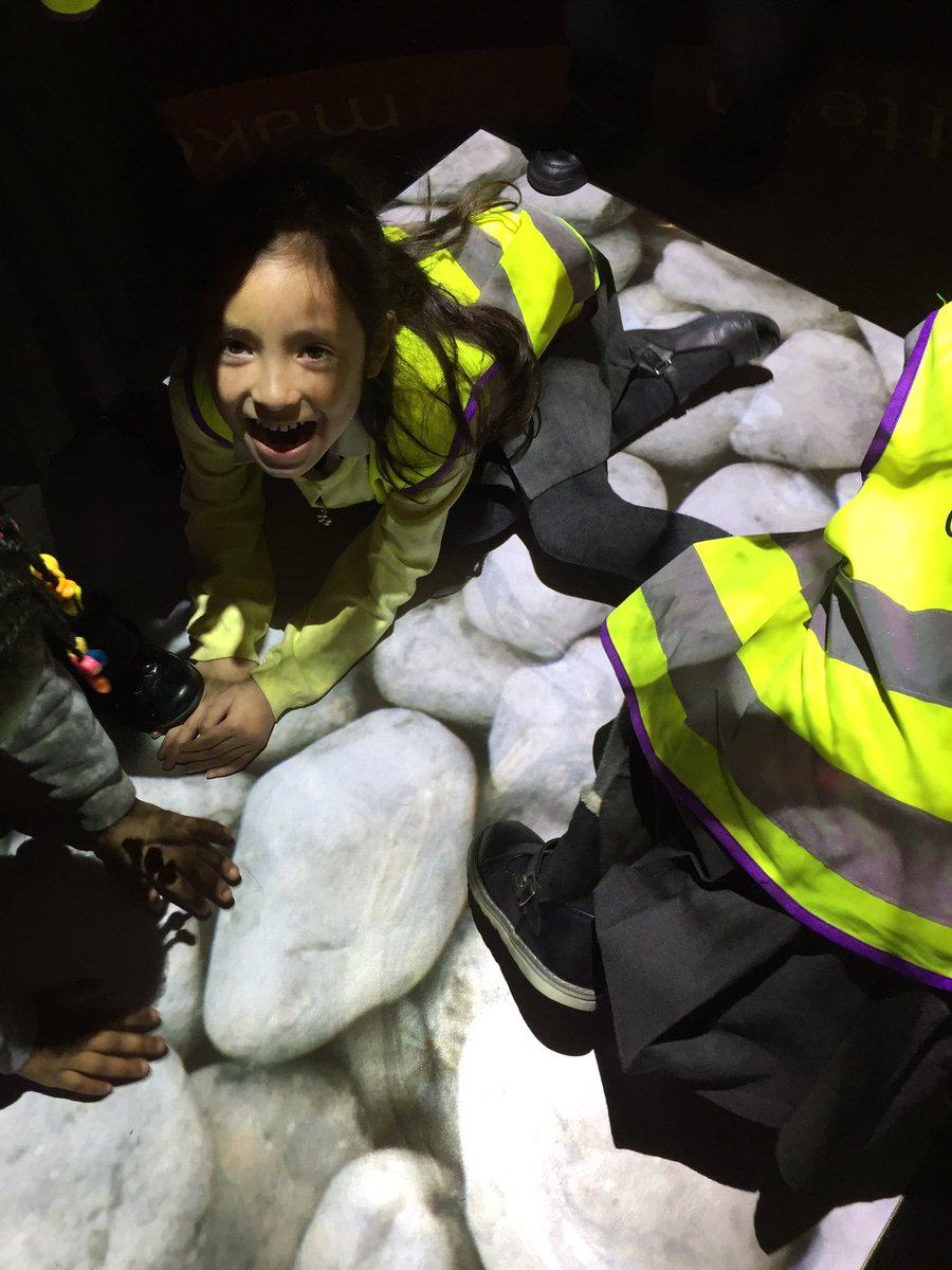 LucyCoatesReay's tweet photo. #Reception @ReayPrimary are learning about #patterns in @sciencemuseum βs #PatternPod for @ScienceWeekUK Thank you for having us! @SMLearningPage https://t.co/0wMfvmWFsv