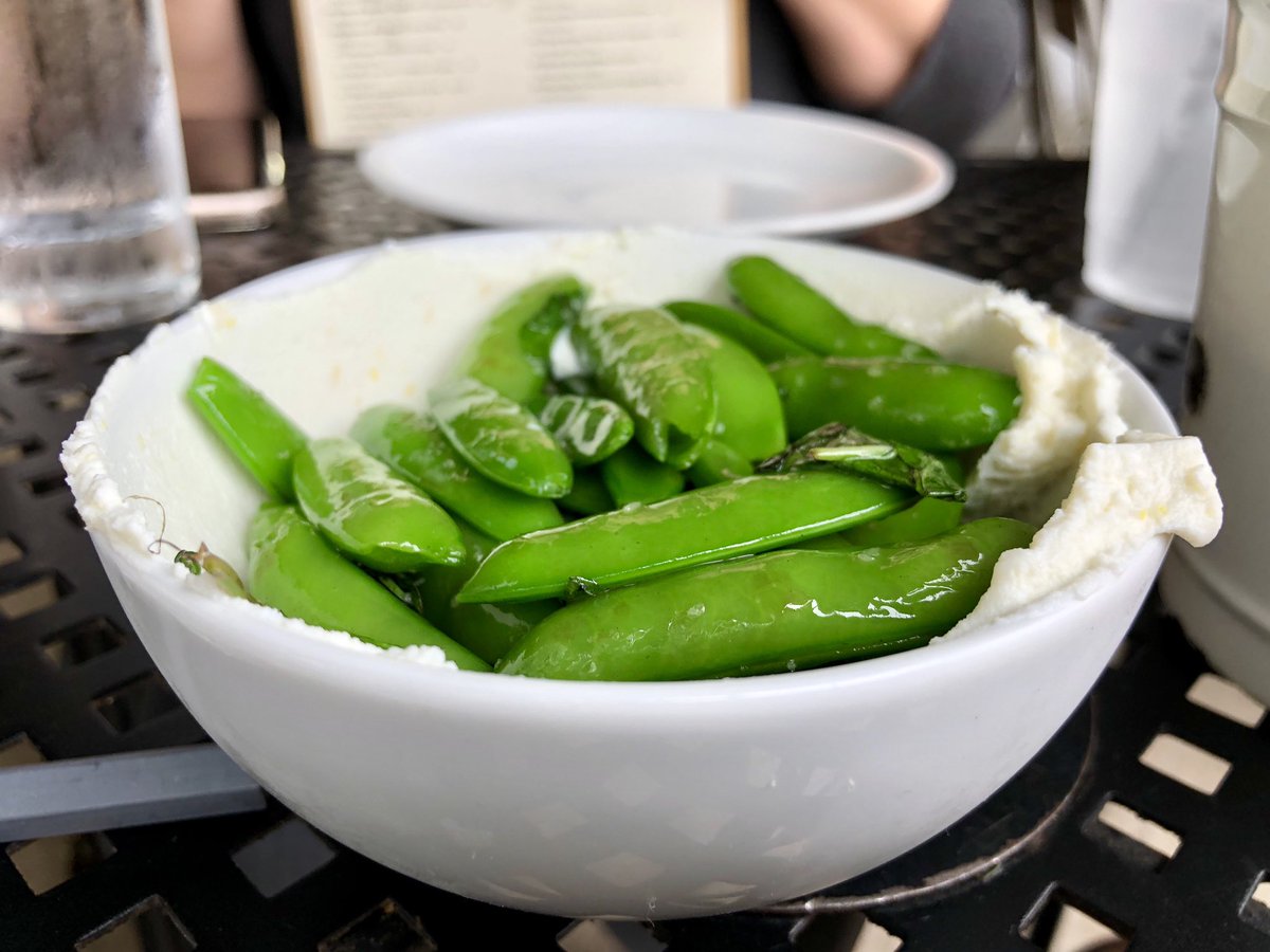 Misha G. tweet media