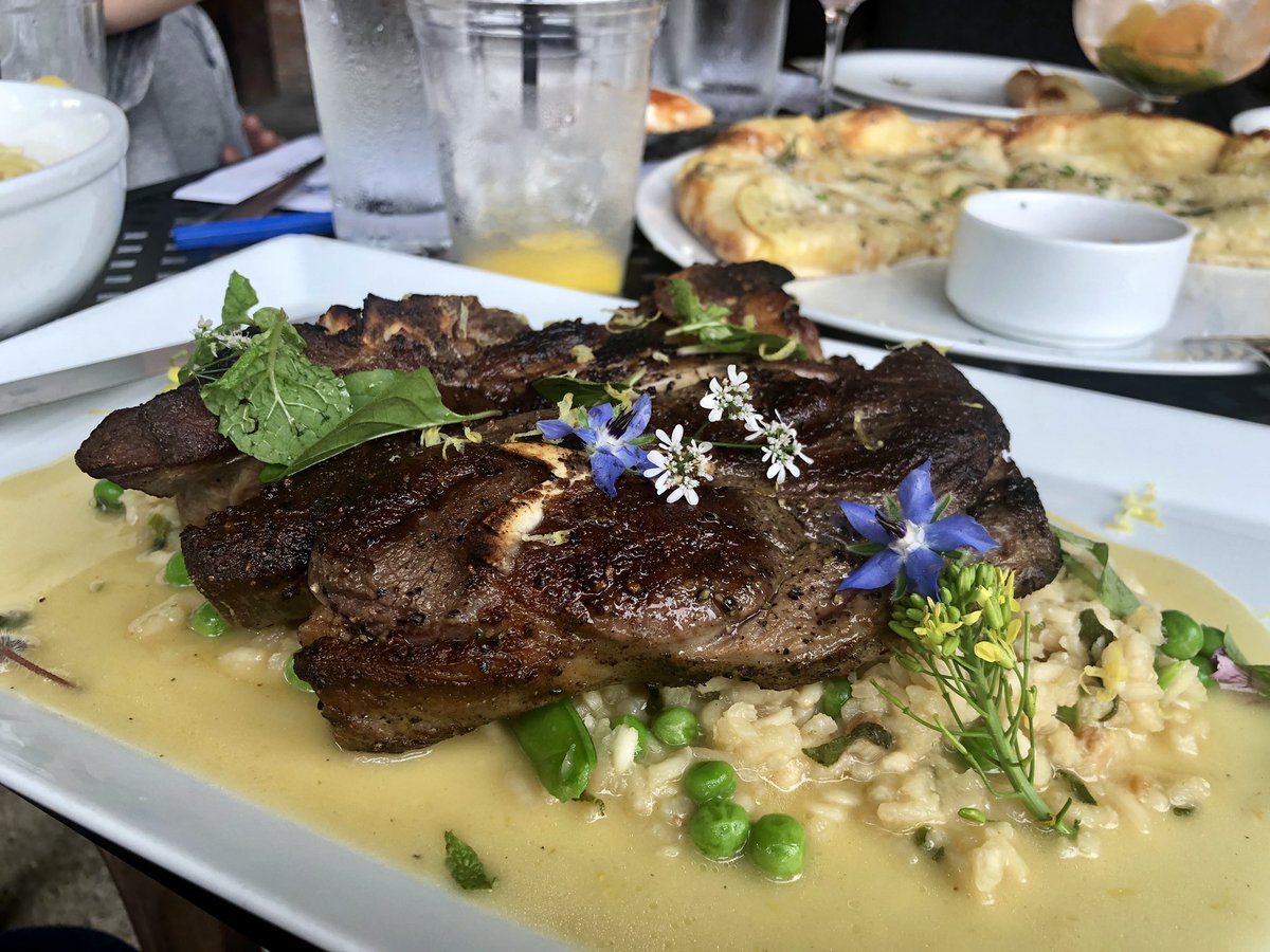 Misha G. tweet media