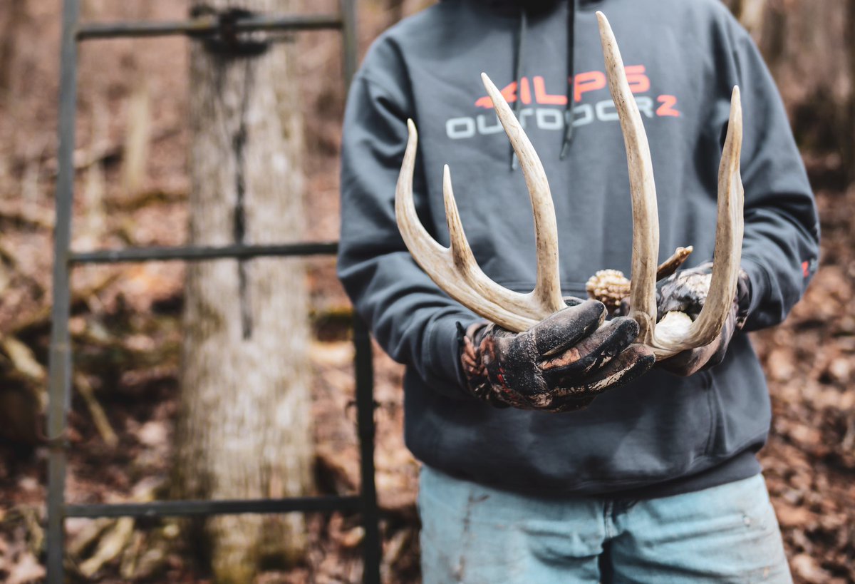 Matchmaker, Matchmaker ...
#standgoals #whataretheodds