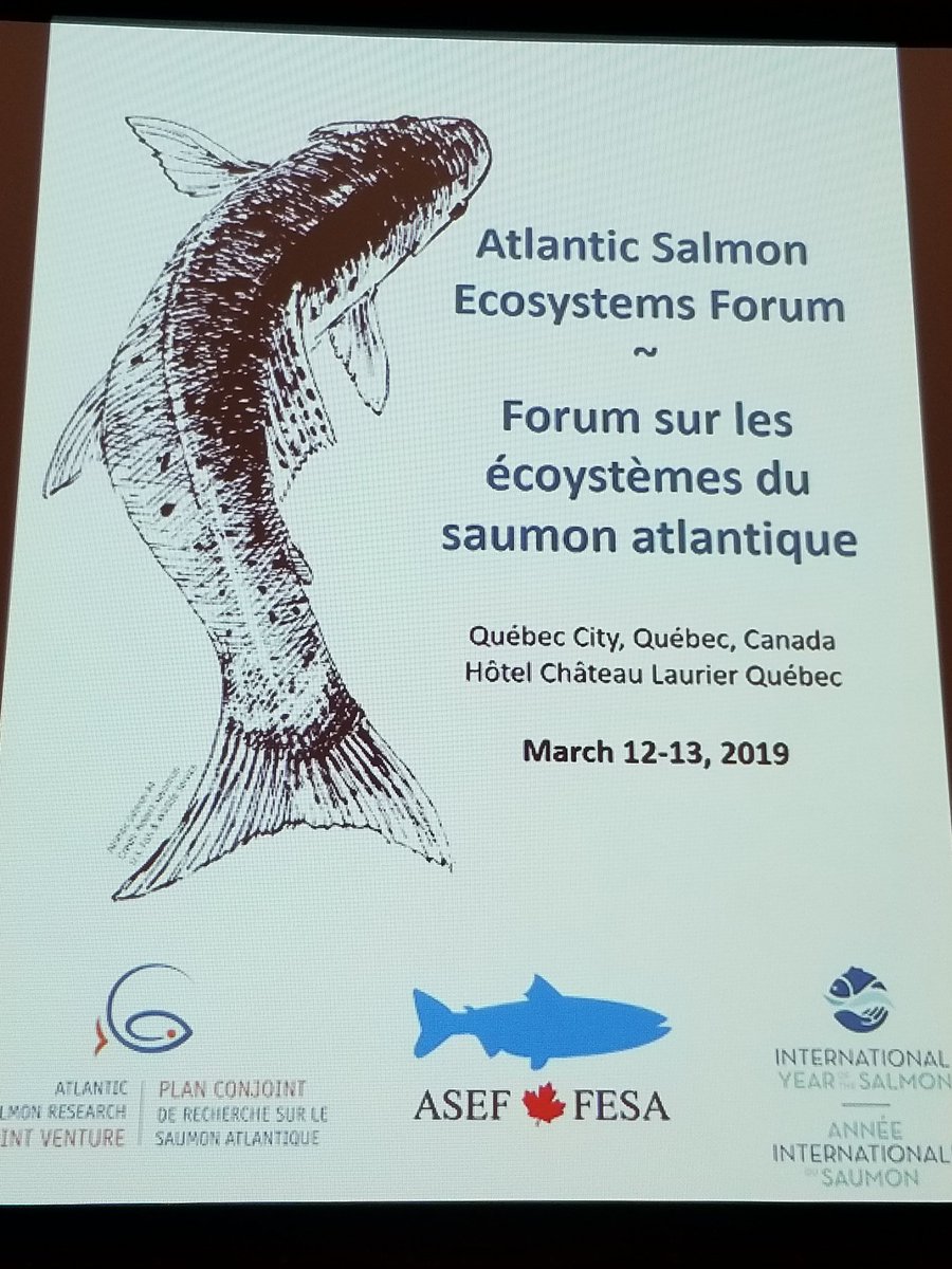 #ASEF #yearofsalmon #peopleandsalmon