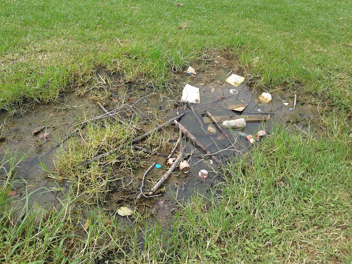 NZ Cricket Clubby tweet media