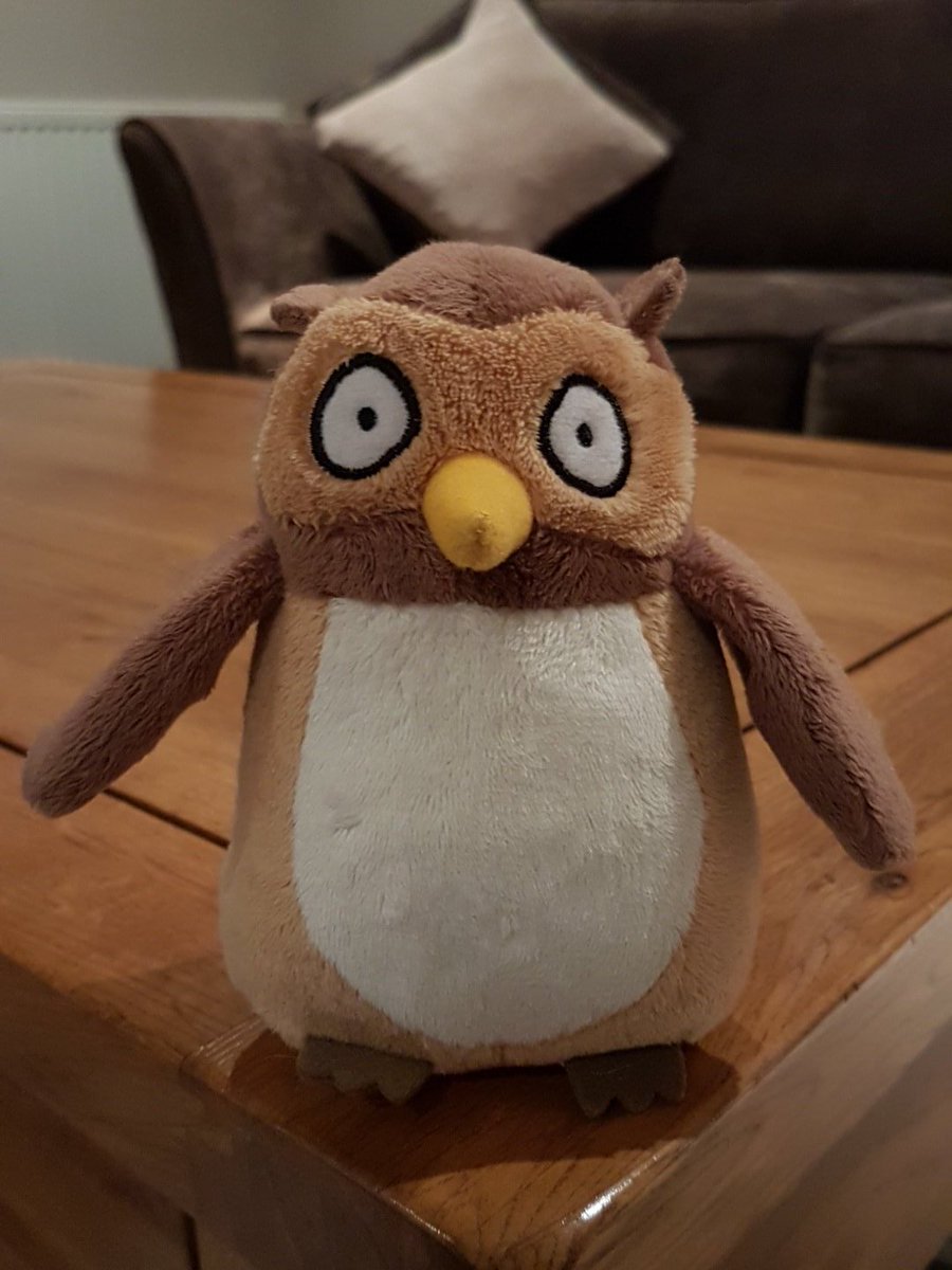 UneagerMother's tweet photo. @NonMaternalMum @herestoarainbow Ralph has Owls in his room too! And has Owl toys, Owls in his puzzles, an Owl book and teddy!
He loves owls!!! π¦
#itsallabouttheowl #owltheme https://t.co/krYYbC0wV2