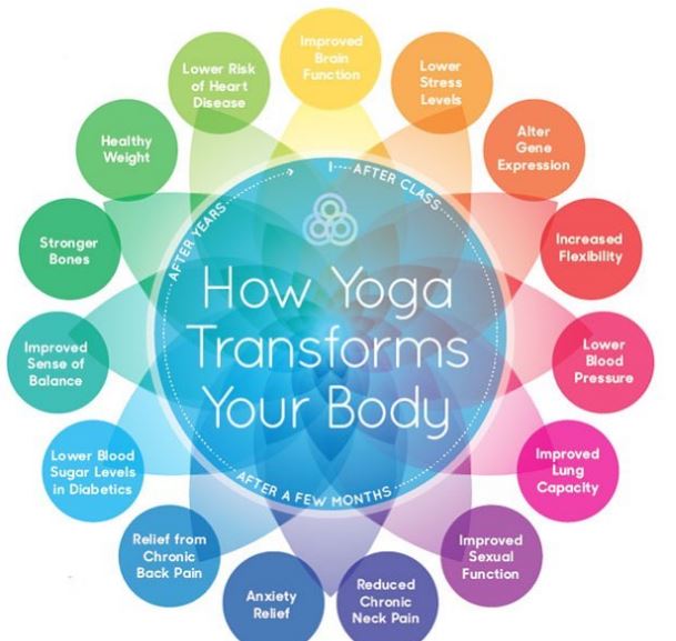 DeborahWendt9's tweet photo. Yoga changes your body in ways you would never imagine! •

Improving your brain function, lowering your stress levels, lowering blood pressure are just a few out of the many!

#yoga #southfloridayoga #benefitsofyoga #healthbenefits #stressrelief https://t.co/mBu91oDq9O
