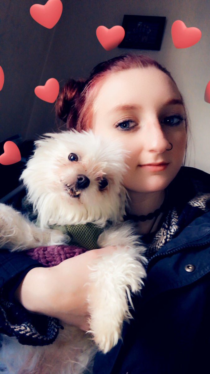 elisejohansenx's tweet photo. wholesome content https://t.co/3Iu4Ab7iqP