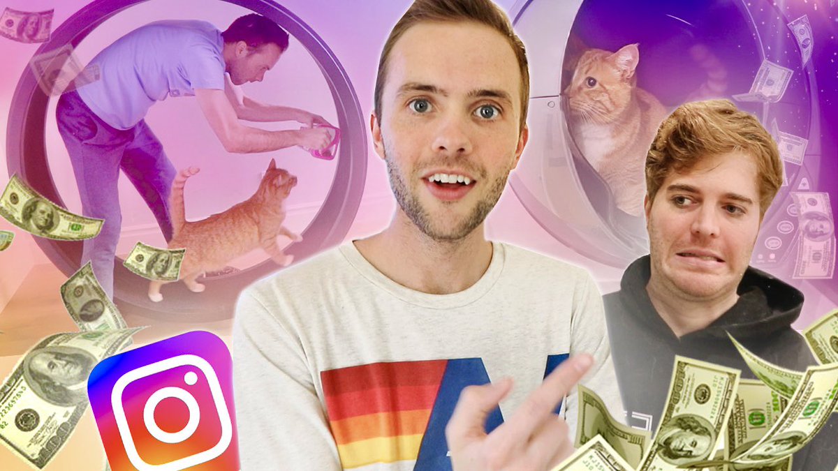 Ryland_Adams's tweet photo. NEW VIDEO!! Buying EVERY Advertisement I See For My Cat! https://t.co/V2mJlUQzRX https://t.co/F8S8GSczmX
