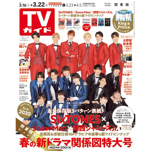 DVD 映画 少年たち なやましい 2DVD 初回 パンフ付き ミニクリア