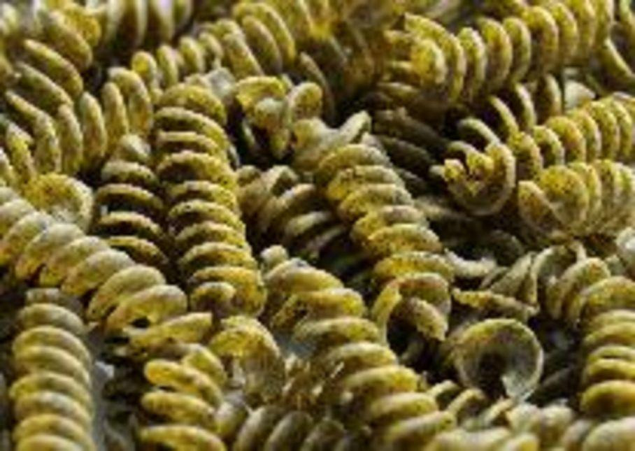 Développement du végétal : l’Europe ouvre une enveloppe de 200 millions d’euros
lsa-conso.fr/developpement-…