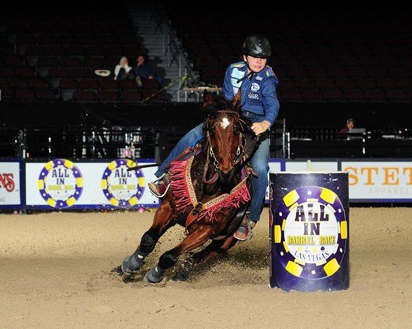 WildG0ld's tweet photo. We are sending lots of good luck to Wild Gold Ambassador Mac10 who is competing in a $1 million barrel race in Brazil this week! We will keep you posted!

More info: https://t.co/5vDAPC3aLO https://t.co/zh31I03JXq