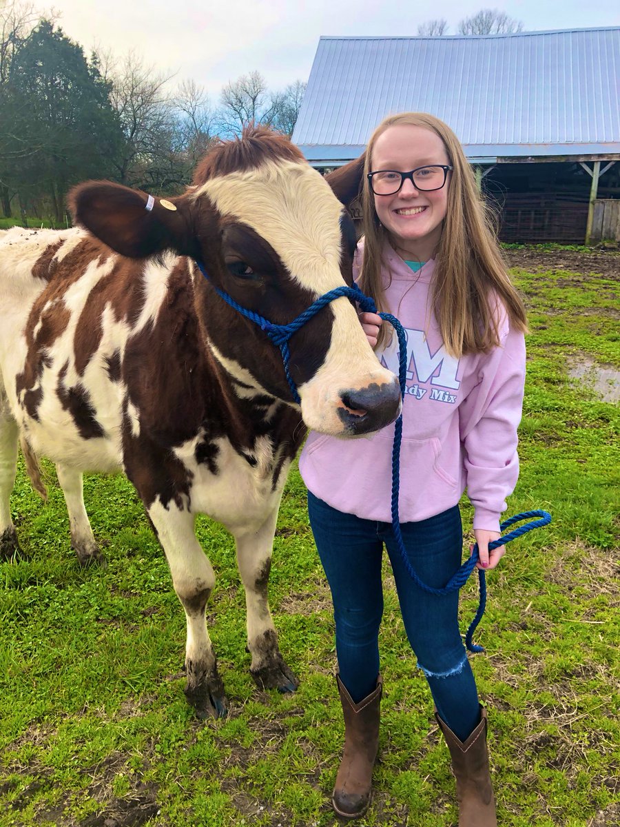 Katelynn fulfilled her lifelong dream of learning how to be a Dairy Handler for senior #jobshadow day! Seniors, what are you doing today? #TeachAg #TaggedToTeachAgEd @SHS_CTE @SmyrnaBulldog