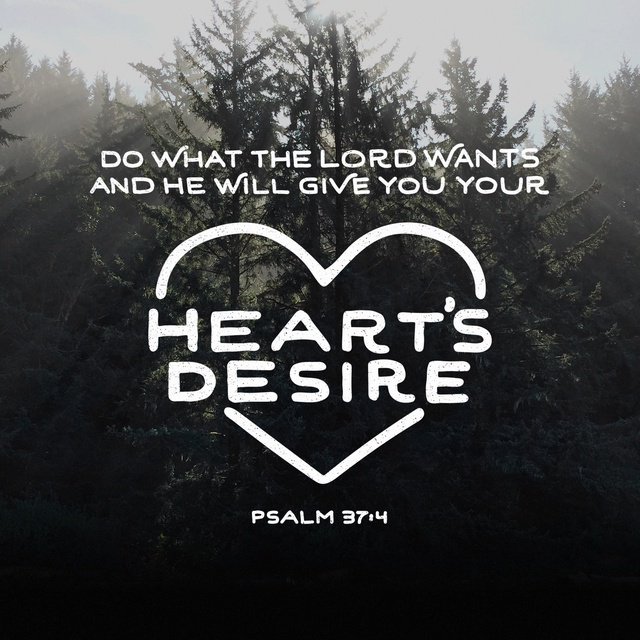 CUWisconsin's tweet image. #PassageOfTheDay &quot;Take delight in the Lord, and he will give you the desires of your heart.&quot; -Psalm 37:4