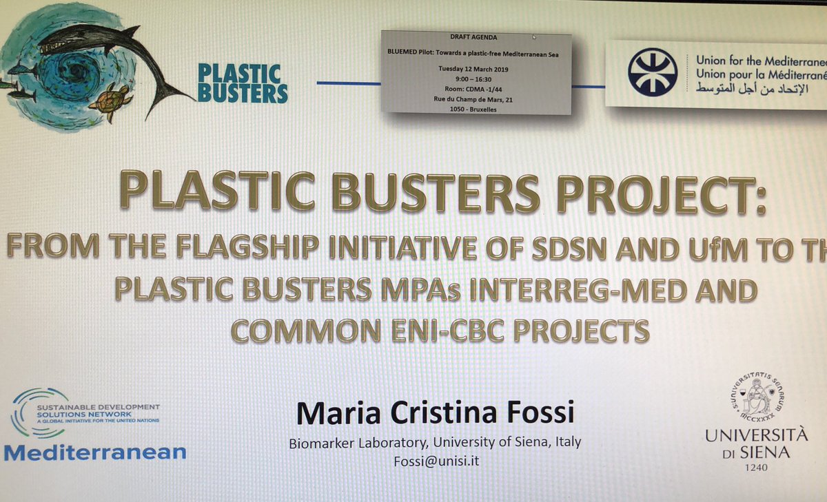 PlasticB_MPAs's tweet photo. #BLUMED pilot: Towards #Plastic-Free Mediterranean Sea - Today - EU - Brussels.
@PlasticBusters project in action in the Pilot! 🐋🐋🐋@PlasticB_MPAs @MEDCommunity3_2 @unisiena @ISPRA_Press @UfMSecretariat https://t.co/ElqZHu5xZN