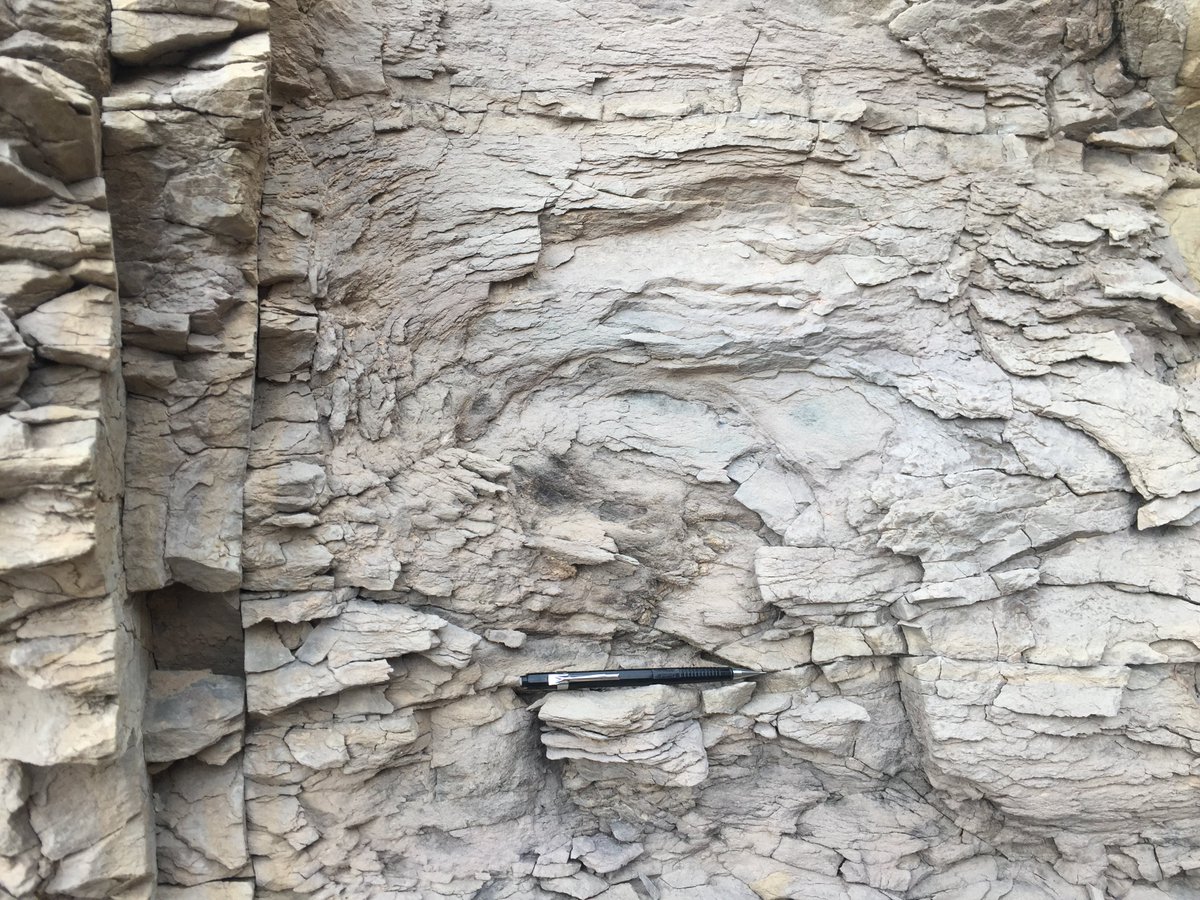 WylieWalker's tweet photo. Calciturbidites on carbonate mudstone slope, desert hydration, SSD in silic rich sediment, hiding from a desert rain storm #bonespring #fieldwork @GuadalupeMtnsNP https://t.co/fPbjVcBnAE