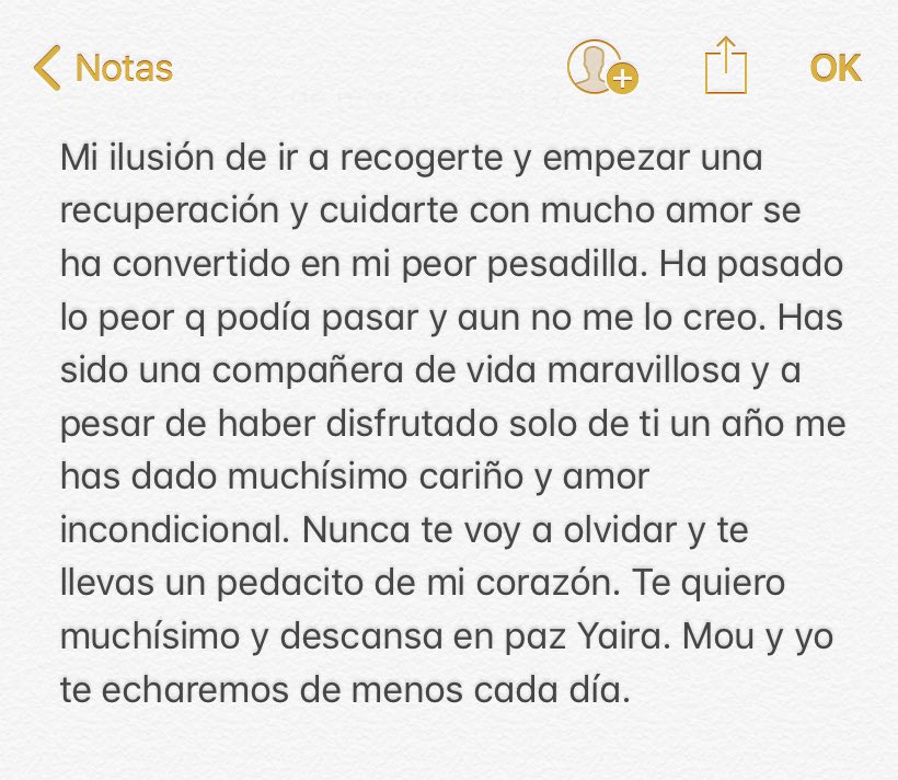 Viki Sanzo tweet media