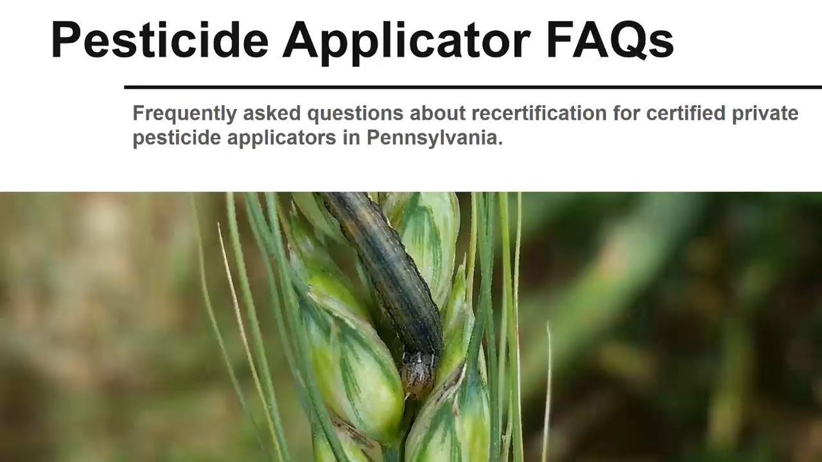 PennStateCrops's tweet photo. Pesticide Applicator FAQs from Penn State Extension's Liz Bosak.  Watch a short video for answers to the most frequently asked questions.   https://t.co/Rg8wcVwWdj https://t.co/41YTHAPf83 https://t.co/ZDCYiUwRyC