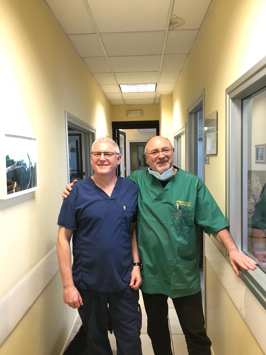 lipogemscanine's tweet photo. Fab picture of one of our latest Lipogems Canine Accredited Veterinary Surgeons Russell who just spent two days working withDr Offer Zeira at his hospital in Milan
To contact Russell https://t.co/gOckaCSszX
#savingyourbestfriend #lipogemscanine #anewgenerationofregeneration https://t.co/5bU9lPMbqP