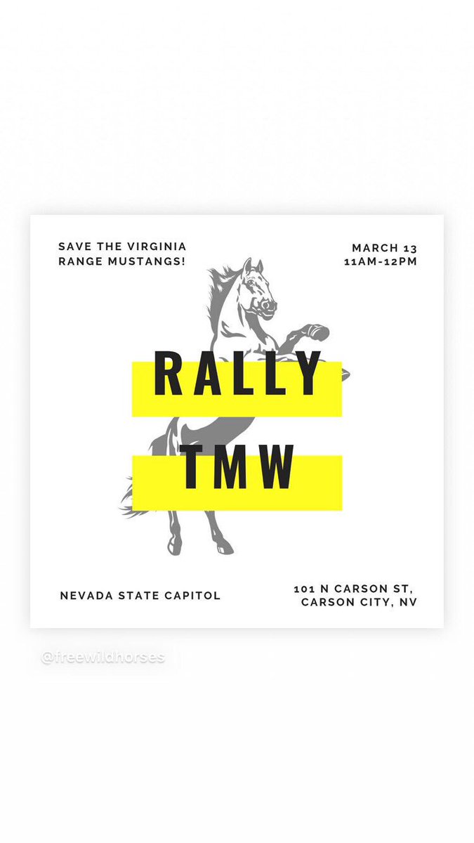 FreeWildHorses's tweet photo. Members of the Northern NV Wild Horse Fertility Control Darting Team will hold a press conf. and rally on the steps of the NV State Capitol TMW to call on the state to restart the humane fertility control program for the Virginia Range mustangs!
See you there! #SaveVRMustangs https://t.co/Bhw4hP4TIo