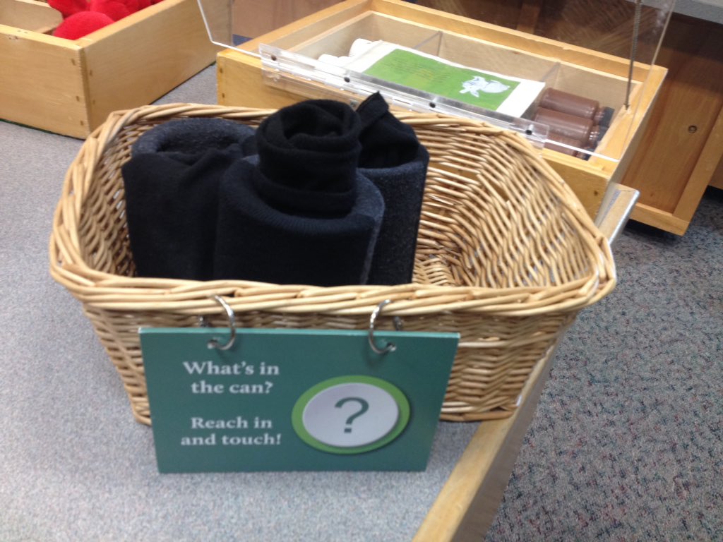 Rick_Hall's tweet photo. Look what I discovered in Toddlers Time Science at North Carolina Museum of Natural Science. What's inside the can? I've described #TotsTime in Nottingham and agreed to swap ideas #loveitwhenaplancomestogether https://t.co/JZ1cJaMdpO