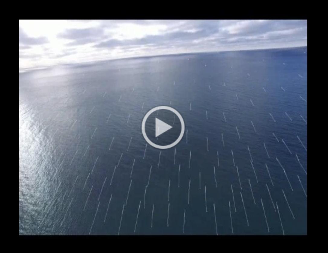 TriangulateLabs's tweet image. We're able to navigate over water without GPS through our #VisualNavigation expertise! triangulatelabs.com/visual-navigat…