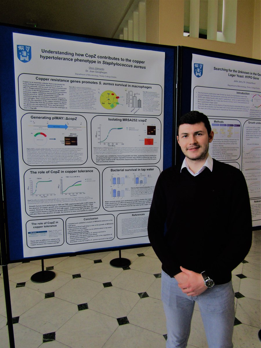 My Poster from the Festival of Research at TCD microbiology! A fantastic 9 weeks and research I'd  love to continue. Big thanks to my supervisor Dr. Joan Geoghegan for all the help, and to everyone else who made this possible!#researchprojects  #posterpresentations  #copper