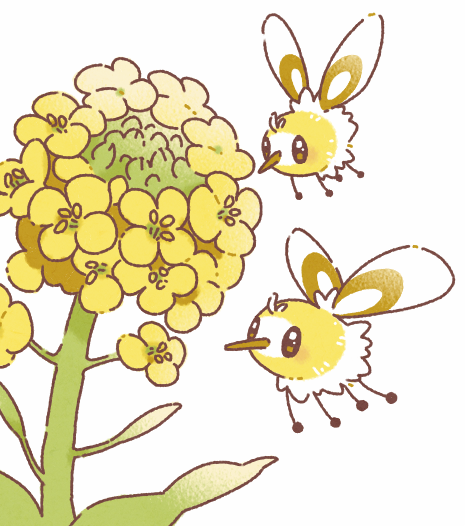 「アブリーちゃんと菜の花 菜の花のおひたし美味しい 」|芋子のイラスト