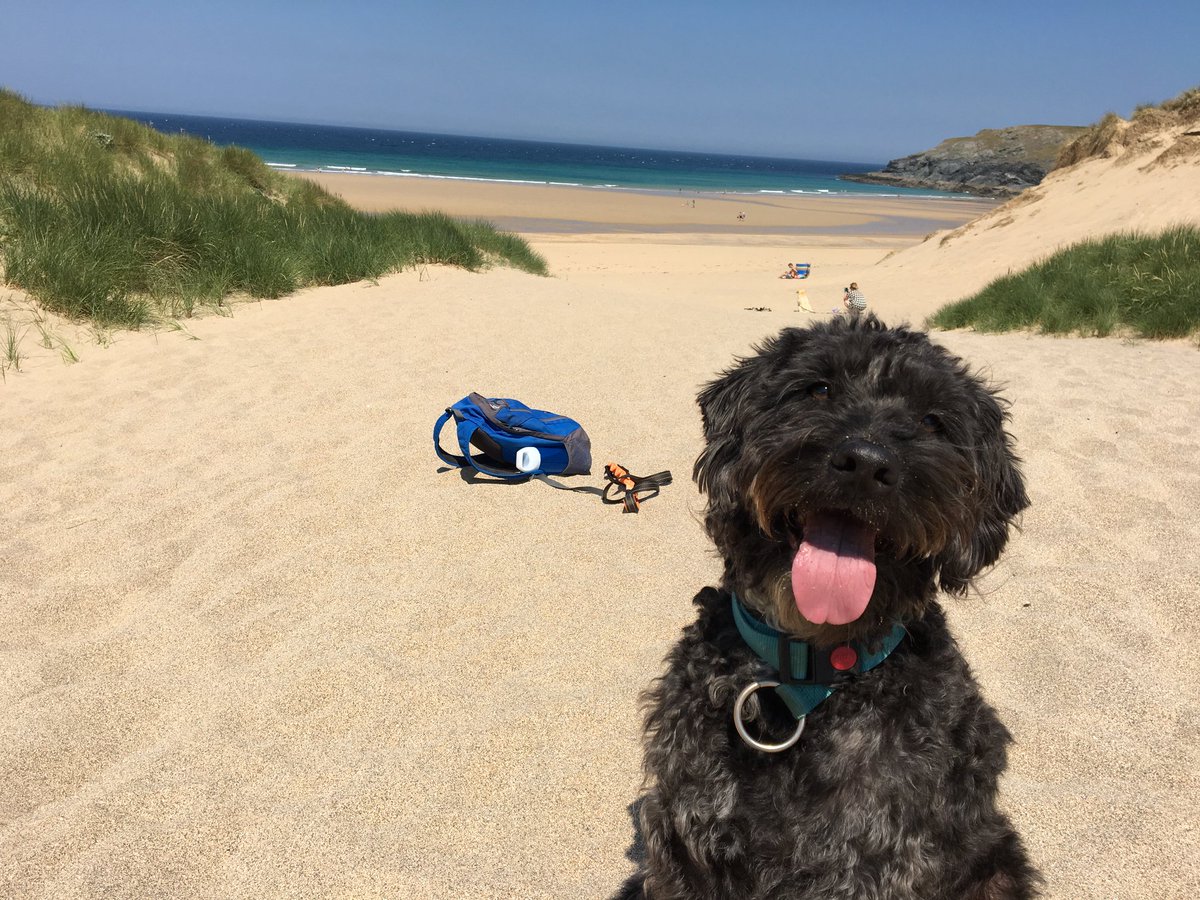 TheHolidayCots's tweet photo. Chynhale Barns have various dates available this spring! These pet friendly cottages are perfect for couples or families looking to spend some quality time by the Cornish coast.
Sleeps 1-8
https://t.co/qIMiAw1dXm
#Callestick #Perranporth #Cornwall #DogFriendlyCottages #FamilyFun https://t.co/hqQvJYe79k