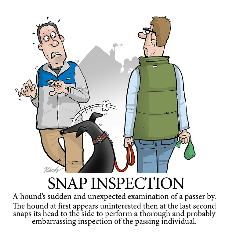 richskipworth1's tweet photo. Another entry for Volume 2 of the Greyhound Glossary. Huzzah! https://t.co/VhRsobiHK9
