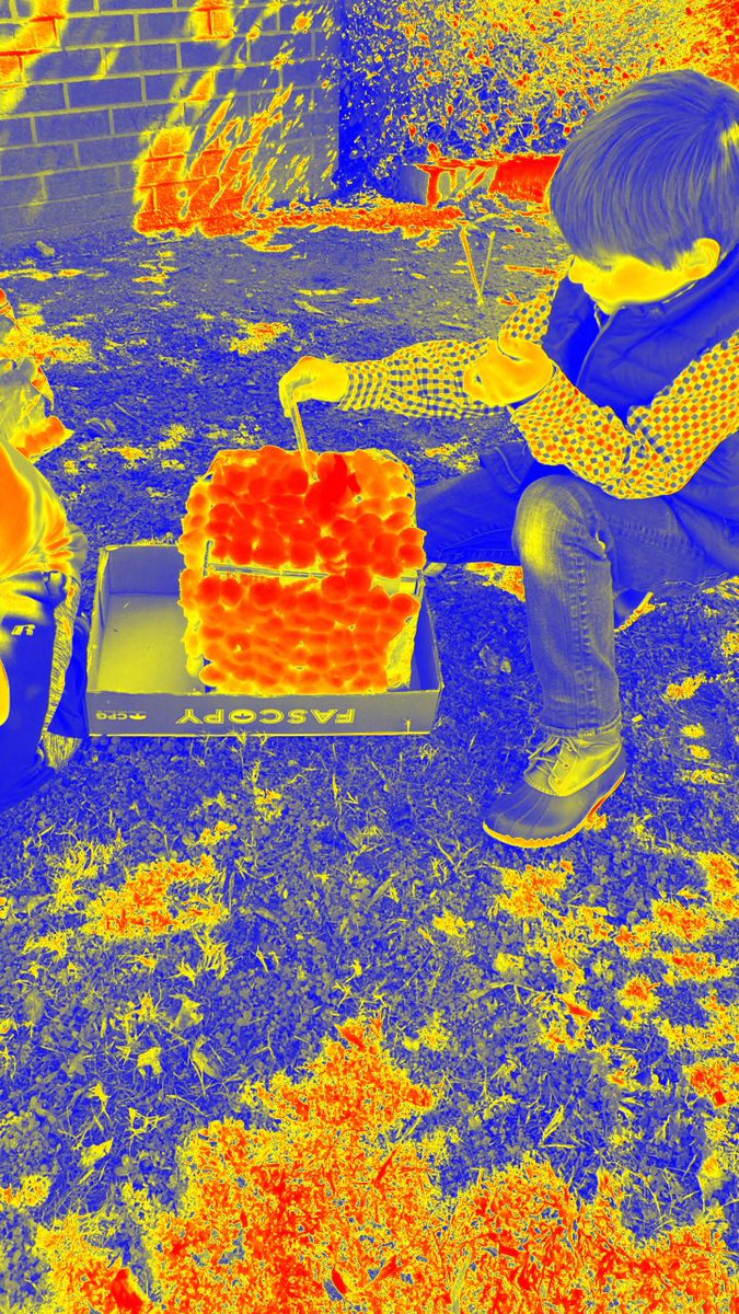 ChristineRyan16's tweet photo. THERMAL IMAGES!!!  Most Energy Efficient Home Design STEM Challenge!!! @hcochrain14 @Jurnack1 @mayraperez225 @MRESCougars #CCSDFam #QuadD #STEM https://t.co/j97huerFYo