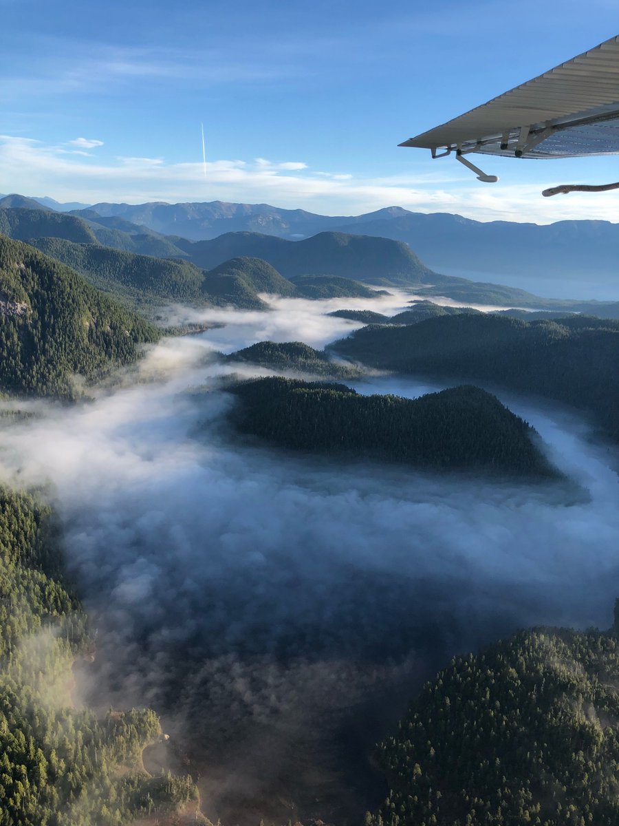 twittnut's tweet photo. Seaplane flight onroute to #hartleybay Oct 2018 https://t.co/tXI4grCdLu