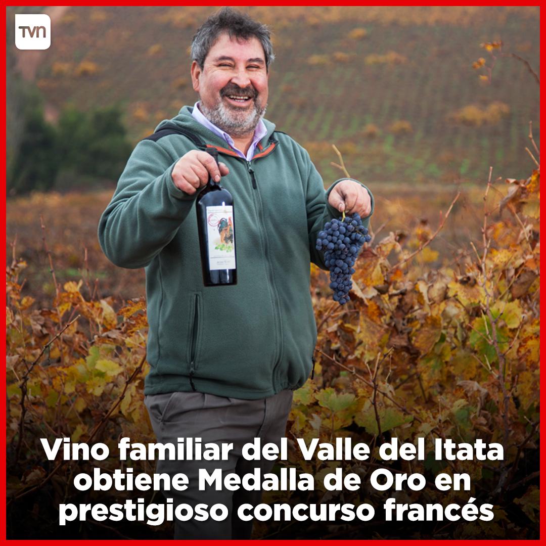 TVN's tweet photo. Un vino campesino del Valle del Itata obtuvo medalla de oro en el Concours Vinalies Internationales 2019, uno de los más prestigiosos concursos que se realiza en Francia 🍷 El producto ganador es una sepa antigua llamada Semillón, la cual poco a poco ha ido desapareciendo 👏 https://t.co/LAAeLs5Xcn