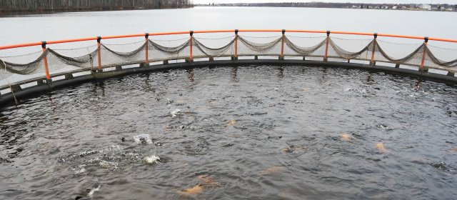 Vamos_A_Pescar's tweet photo. #RT @Take_Me_Fishing: #FishHatcheries management plays a huge rol in conservation. They help repopulate endangered #FishSpecies and preserve native fish, among other efforts. Learn more: https://t.co/0Fb9945p1X https://t.co/NtBLDP50ED