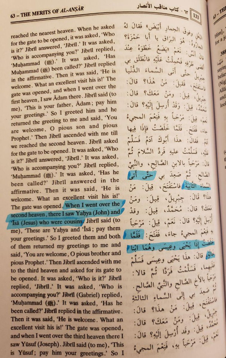 Hadith 4: “When I went over the second heaven, there I saw Yahya (John) and Isa (Jesus) who were cousins”.In this long hadith from Sahih Bukhari, we read that during the journey of miraj, the Holy Prophet s.a saw the souls of previous prophets.