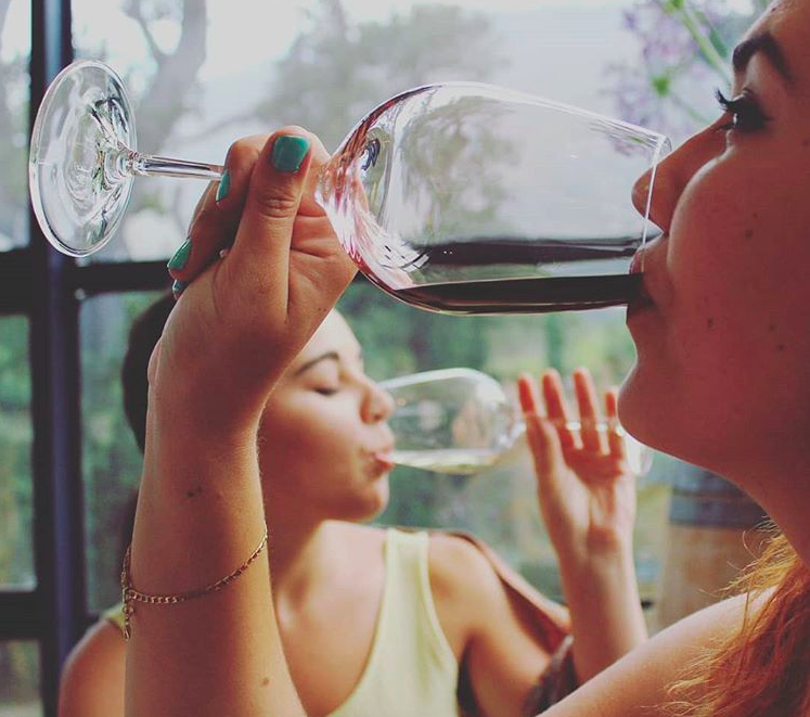 gorillawines's tweet photo. Friends that drink together, stay together... 🍹🍸🍷 #girlsthatdrink https://t.co/2F37wz2asQ