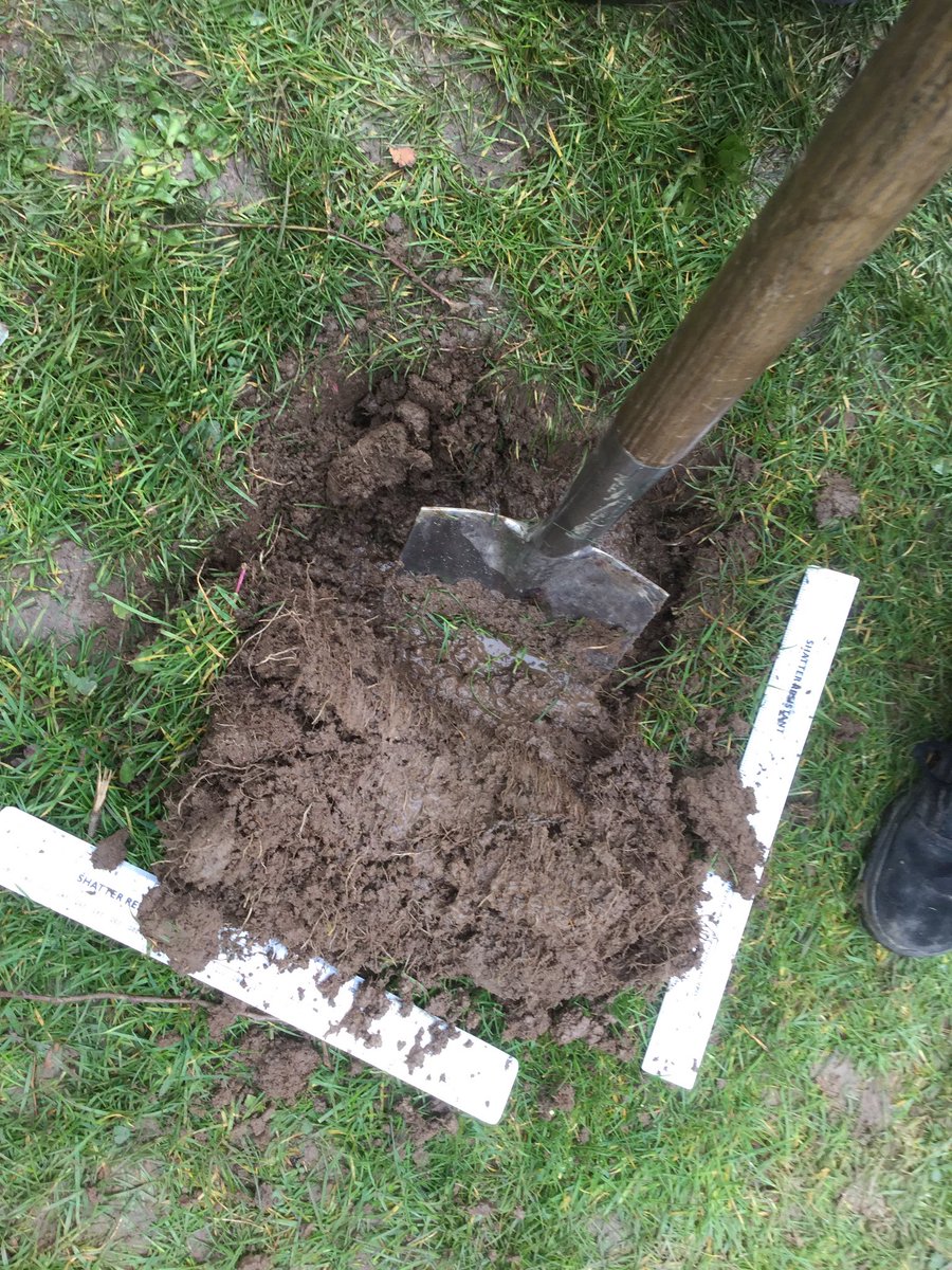 RCS_MapleClass's tweet photo. Alder Class have been looking at worms and how they are adapted to do the great job they do. @RCS_main @PeleTrust https://t.co/4ps5u8fXa5