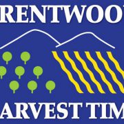 Harvest Time tweet media