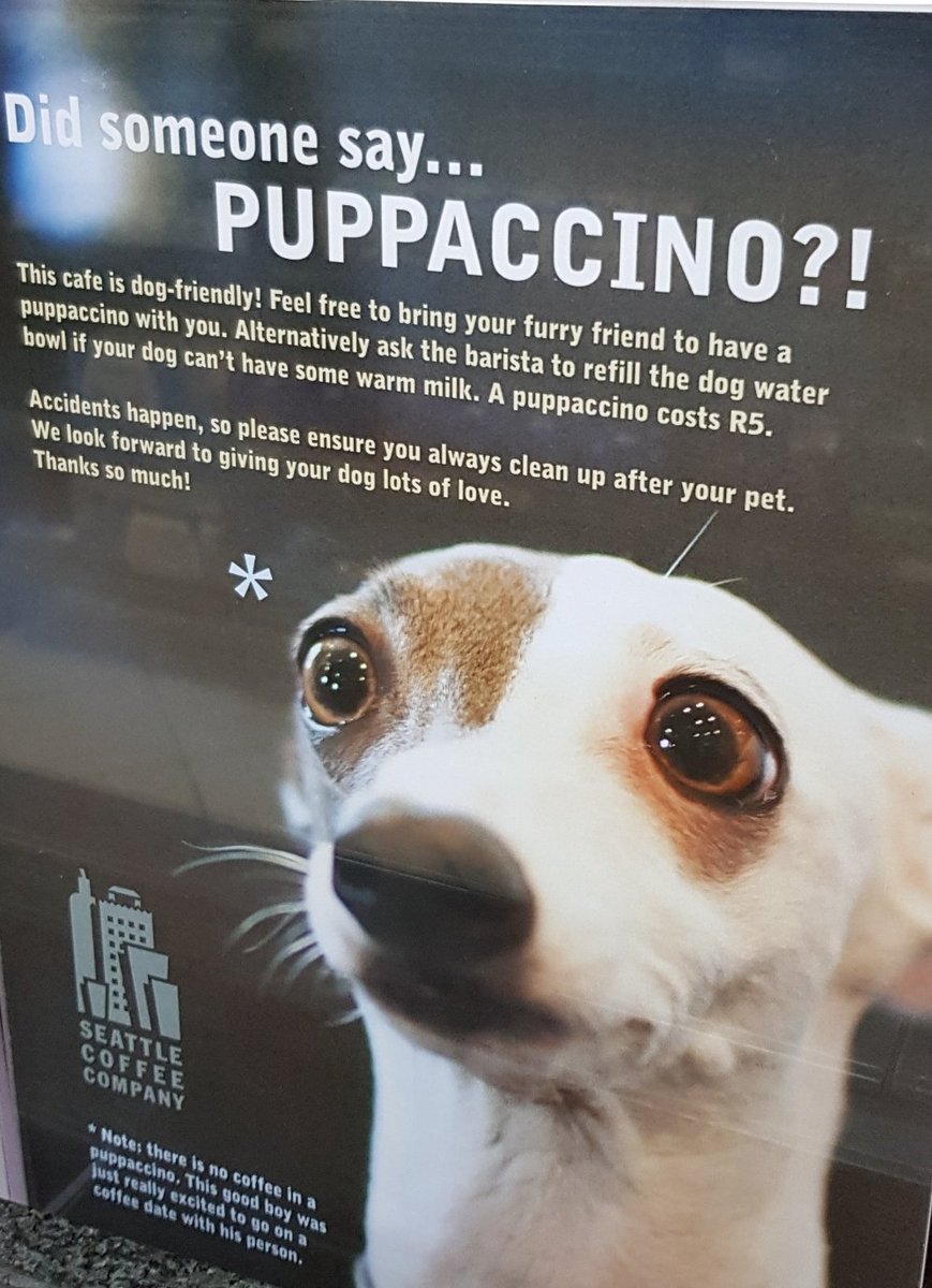 PhoenixDPC's tweet photo. Seattle Coffee Co. is for dogs 🐶 😍 Love it! #puppacino @Seattlecoffeeco https://t.co/cBErIFfNJl