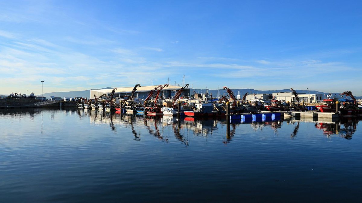 Visit_Osalnes's tweet photo. Fishing Port and Market of #Vilanova: Its importance as a fishing port goes back a long way, and today the traditional and artisan methods continue to be used for coastal fishing and gathering of cockles and clams. #osalnés https://t.co/eEp5eFC65i