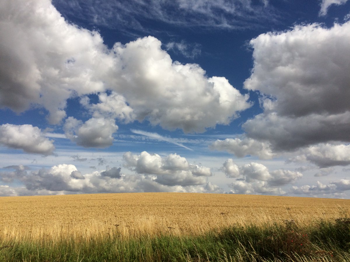 Happy_Minds1's tweet photo. Beauty is everywhere: Harvest time https://t.co/FlzK9RQ3Pr