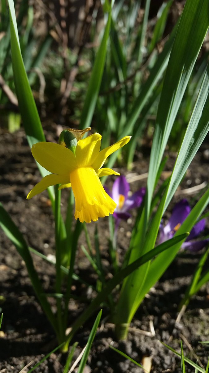 Spring has sprung so this is normally when the market starts to pick up but my local agents have been reporting a strong February. Are you looking to move but worried about missing out. Contact me to see if I can help you. #homeiswheretheheartis