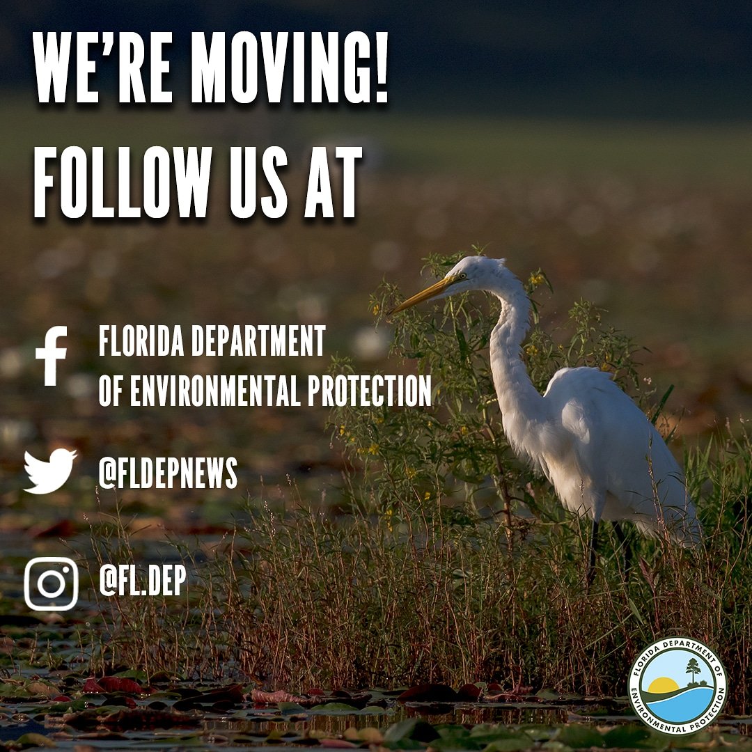 FL Coastal Office (@aquatic_fl) on Twitter photo 