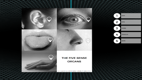 NUITEQChorus's tweet photo. Learn about the five senses and #MakeEducationFun with this engaging lesson from the #MultiTeach Lessons Community. Try it on your device or live at #CUE19. #CaliforniaStandardsAligned  https://t.co/V9xZxXyq83 https://t.co/oR95ZI1U27